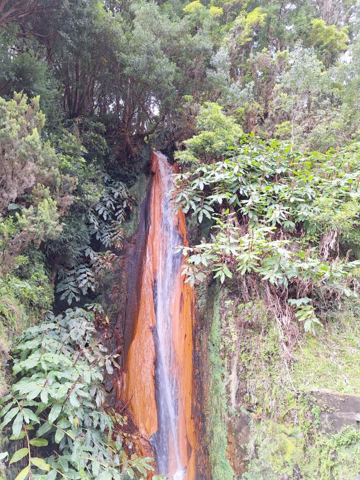 דירות Ponta Delgada Caminhos Nos Levam Pela Ilha מראה חיצוני תמונה